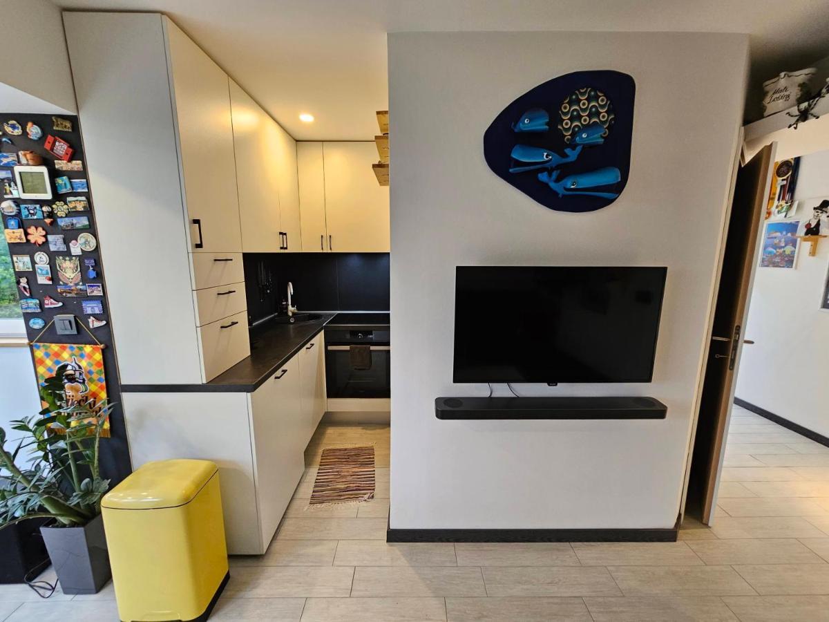 Apartman Carnevalus Риека Экстерьер фото