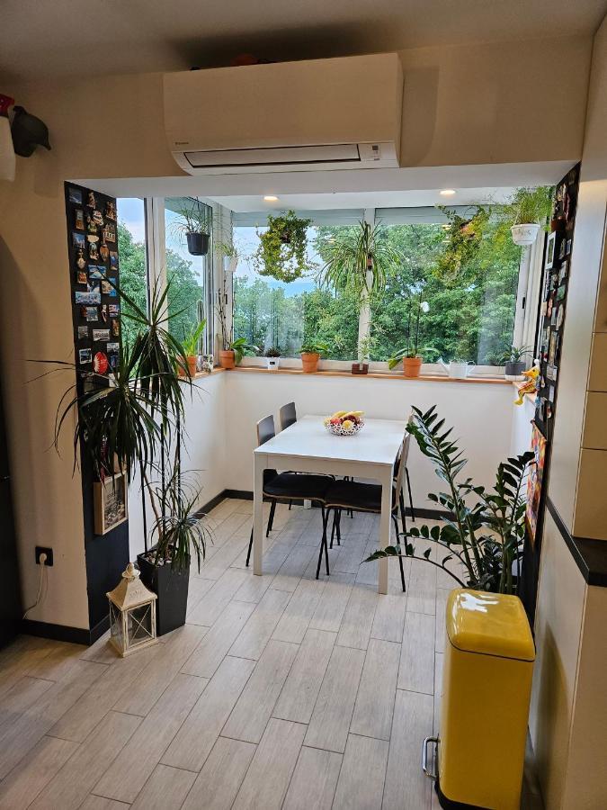 Apartman Carnevalus Риека Экстерьер фото
